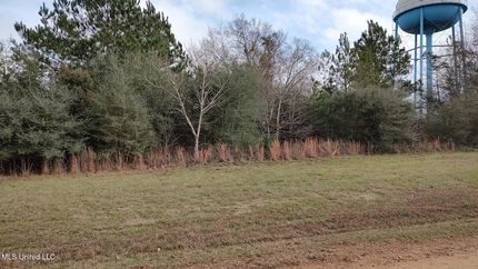 Property for sale in Pearl River County, Mississippi