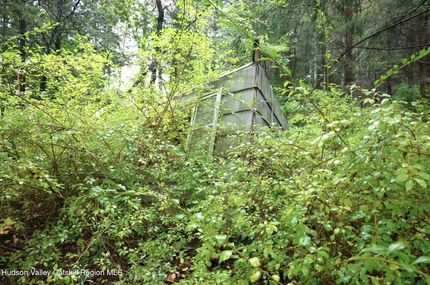 Undeveloped Land for sale in Greene County, New York