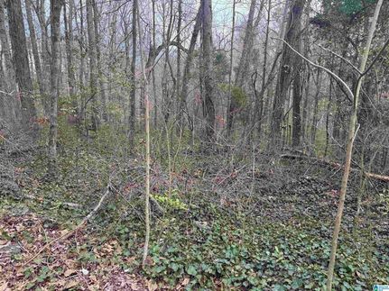 Property for sale in Jefferson County, Alabama