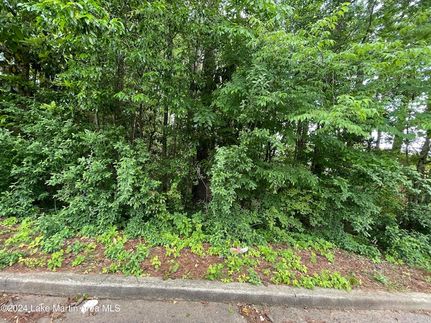 Property for sale in Tallapoosa County, Alabama