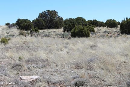 Property for sale in Apache County, Arizona