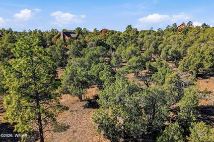 Property for sale in Navajo County, Arizona