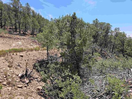 Property for sale in Otero County, New Mexico