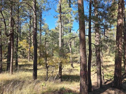 Undeveloped Land for sale in Otero County, New Mexico