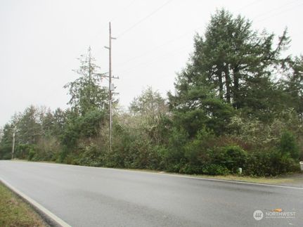 Undeveloped Land for sale in Grays Harbor County, Washington