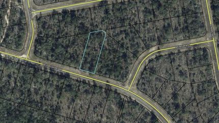 Undeveloped Land for sale in Washington County, Florida