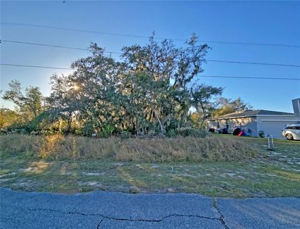 Undeveloped Land for sale in Polk County, Florida