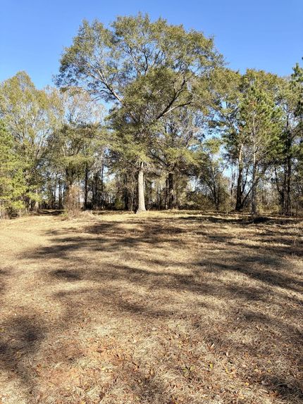 Property for sale in Butler County, Alabama