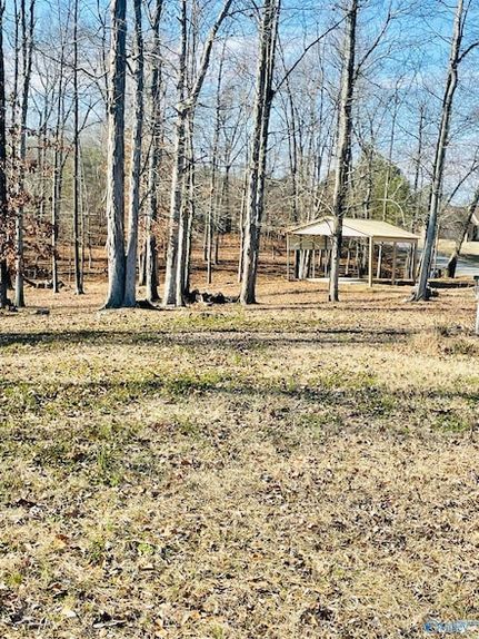 Undeveloped Land for sale in Cherokee County, Alabama