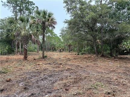 Property for sale in Hendry County, Florida