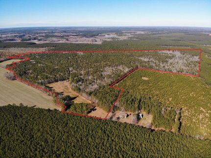 Hunting Land for sale in Isle of Wight County, Virginia