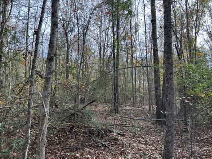 Property for sale in Harrison County, Texas