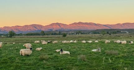 Property for sale in Grant County, New Mexico