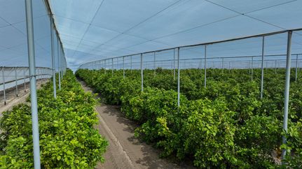 Property for sale in Polk County, Florida