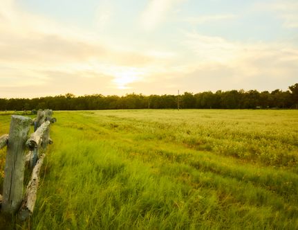 Property for sale in Milam County, Texas