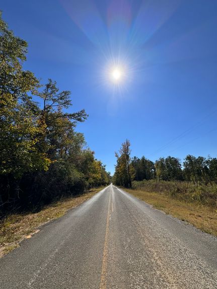 Property for sale in Sumter County, Alabama