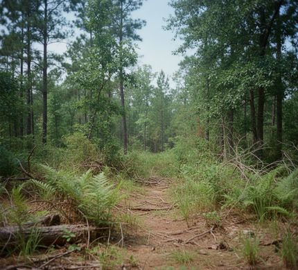 Property for sale in Barnwell County, South Carolina