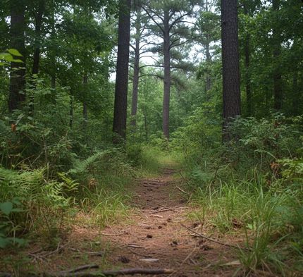 Recreational Property for sale in Laurens County, South Carolina