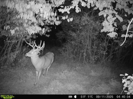 Property for sale in Coshocton County, Ohio