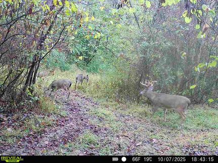 Property for sale in Coshocton County, Ohio