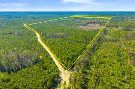 Timberland Property for sale in Clay County, Florida