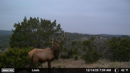 Property for sale in Edwards County, Texas