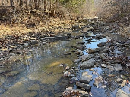 Property for sale in Madison County, Arkansas