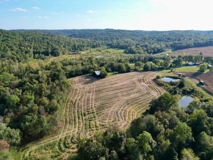 Hunting Land for sale in Todd County, Kentucky