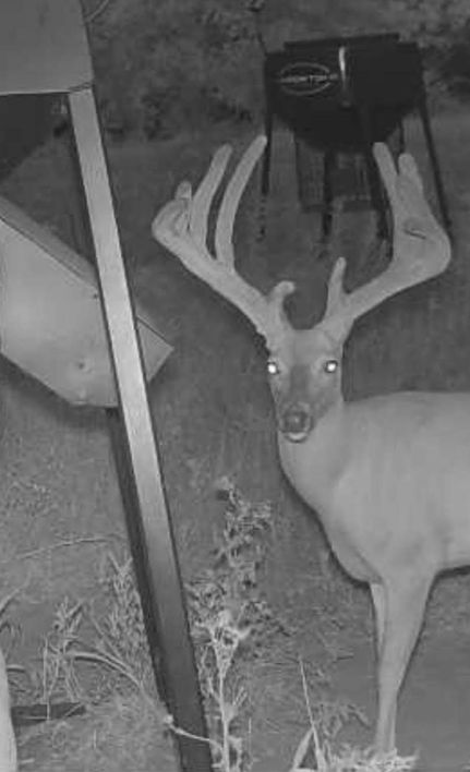 Property for sale in Pawnee County, Oklahoma