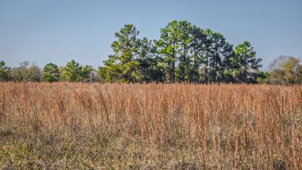 Farm Property for sale in Walker County, Texas