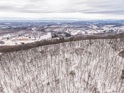 Undeveloped Land for sale in Monroe County, West Virginia