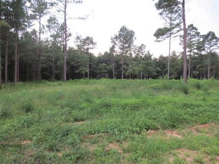 Property for sale in Walthall County, Mississippi