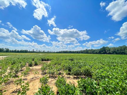 Property for sale in Marlboro County, South Carolina