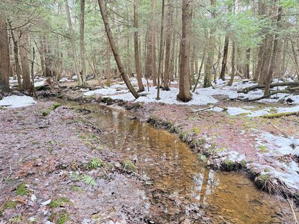 Residential Property for sale in Warren County, Pennsylvania