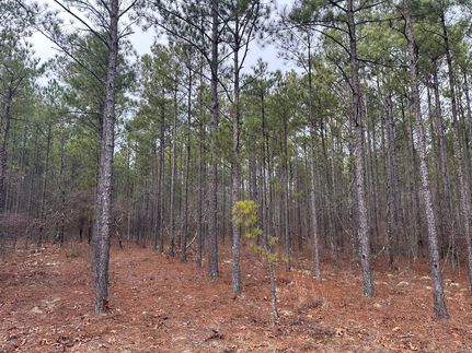 Property for sale in Marion County, Georgia