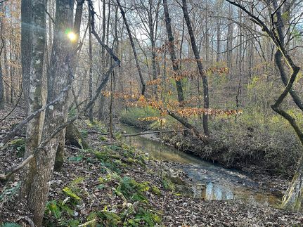 Hunting Land for sale in Elmore County, Alabama