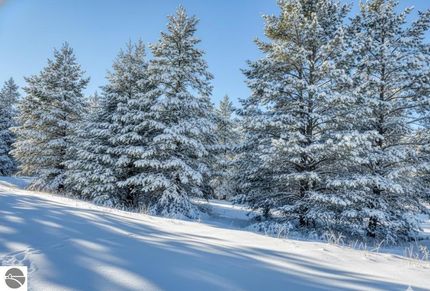 Undeveloped Land for sale in Grand Traverse County, Michigan