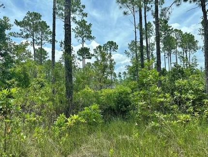 Property for sale in Putnam County, Florida