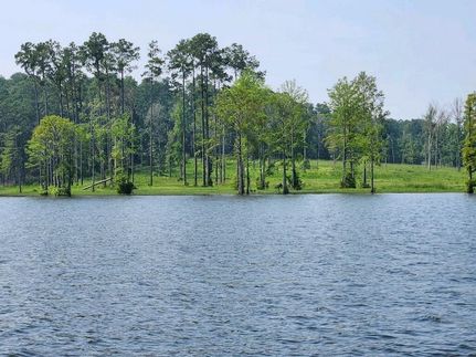 Lakefront Property for sale in Newton County, Texas