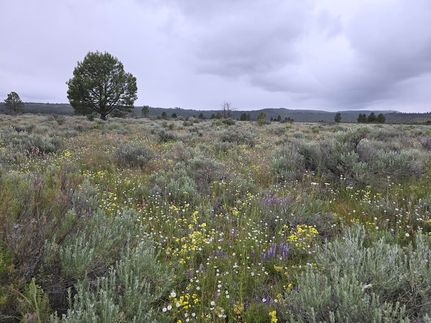 Property for sale in Klamath County, Oregon