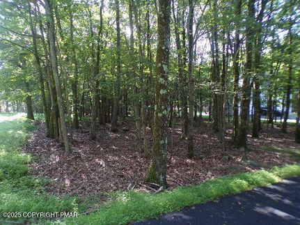 Undeveloped Land for sale in Carbon County, Pennsylvania