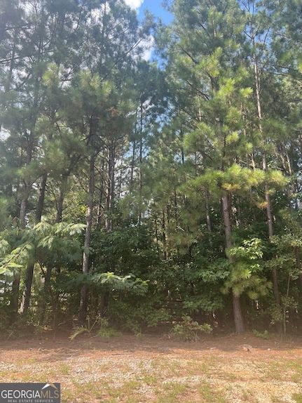 Undeveloped Land for sale in Walton County, Georgia