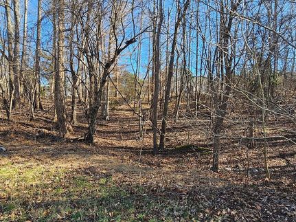 Undeveloped Land for sale in Danville City County, Virginia