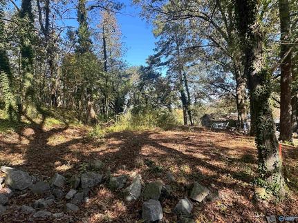 Property for sale in Marshall County, Alabama