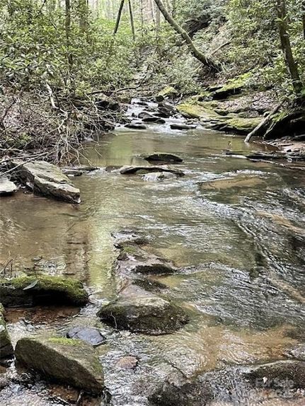 Property for sale in Polk County, North Carolina