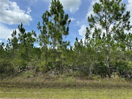 Property for sale in Polk County, Florida