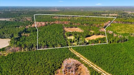 Undeveloped Land for sale in Colleton County, South Carolina