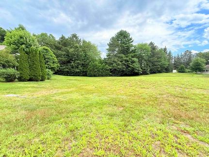 Undeveloped Land for sale in Windsor County, Vermont