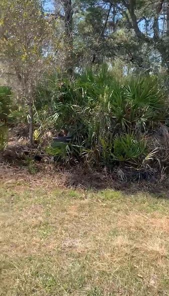 Undeveloped Land for sale in Lake County, Florida