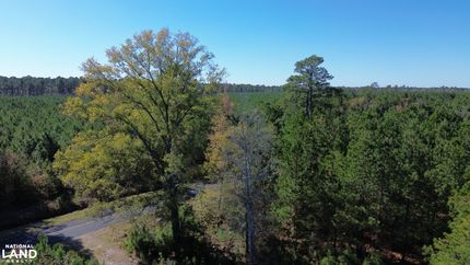 Hunting Land for sale in Clarendon County, South Carolina